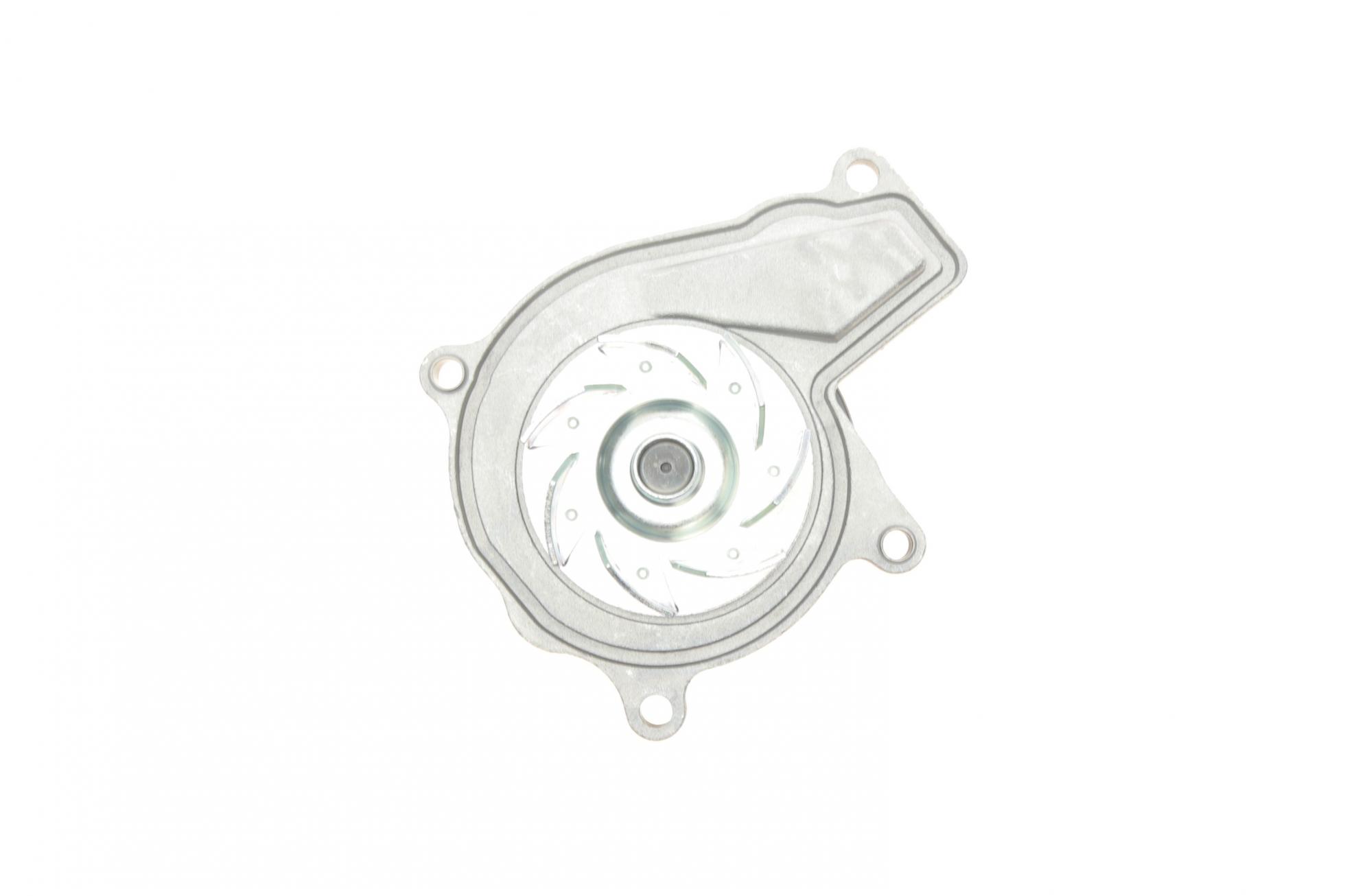 WPS3029 CONTITECH