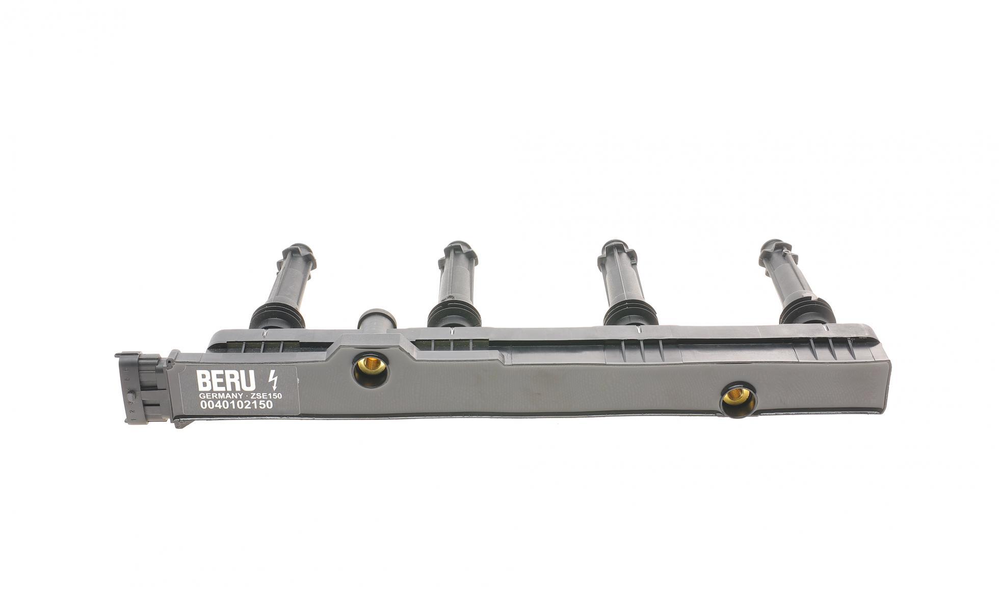 ZSE150 BERU