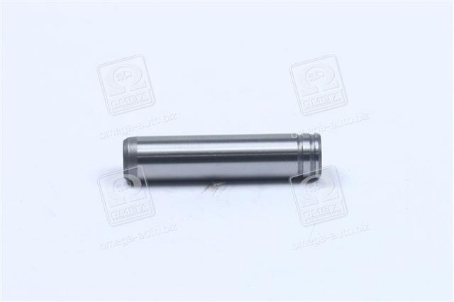 012319 METELLI