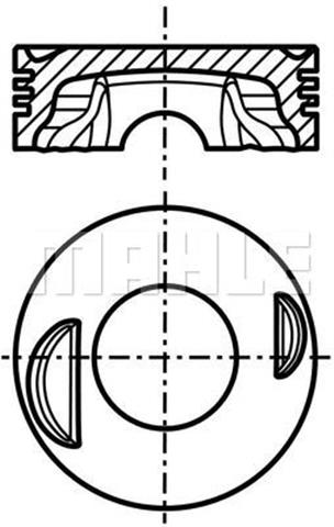 028PI00118001 MAHLE