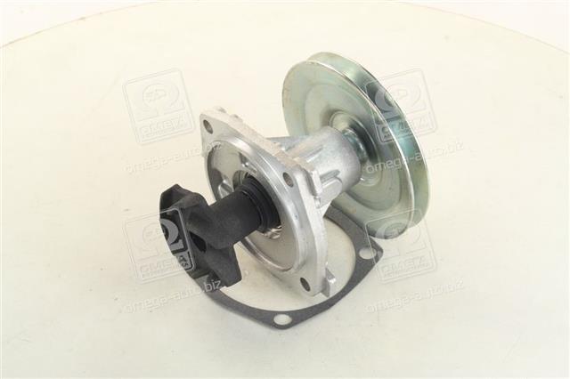 240585 METELLI