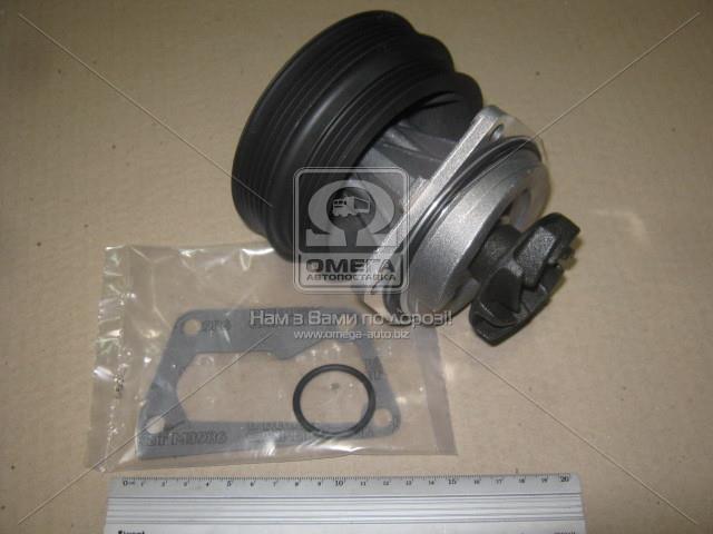 240620 METELLI