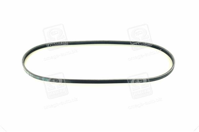 3PK905 CONTITECH