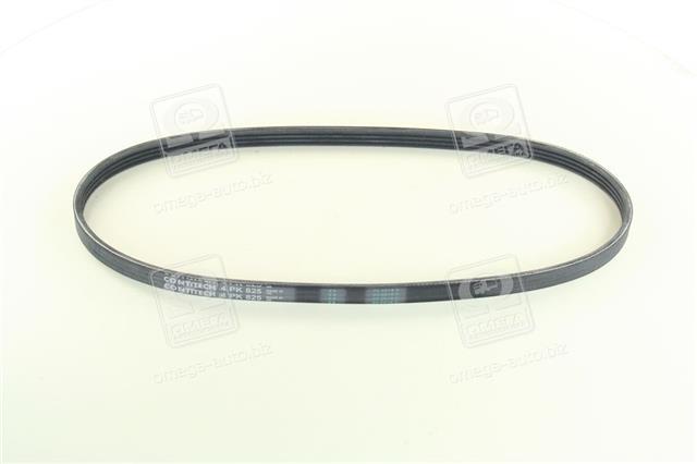 4PK825 CONTITECH