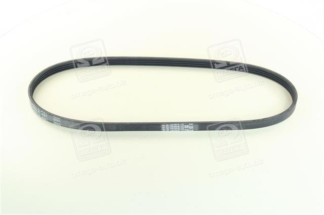 4PK916ELAST CONTITECH