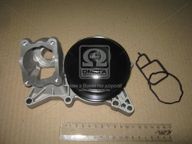538018510 INA
