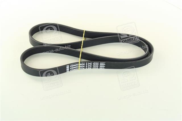 5PK1255 CONTITECH
