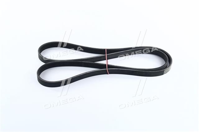 5PK1546 CONTITECH