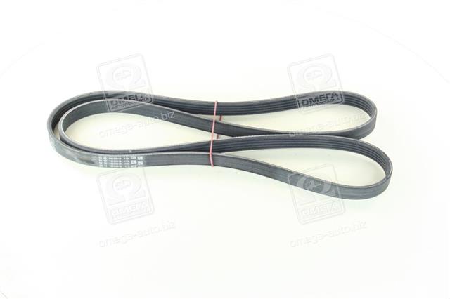 5PK1646 CONTITECH