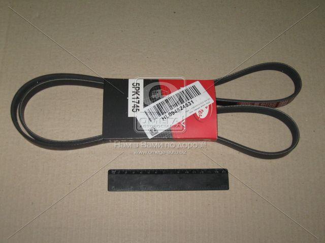 5PK1745 GATES