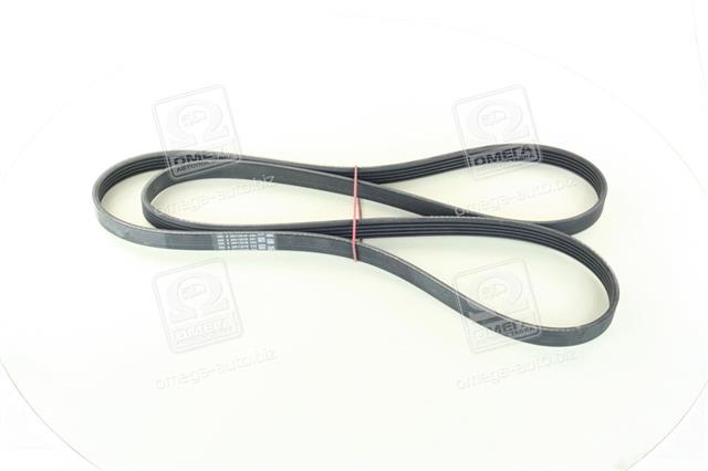 5PK1788 CONTITECH
