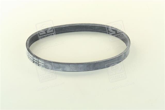 5PK491 CONTITECH