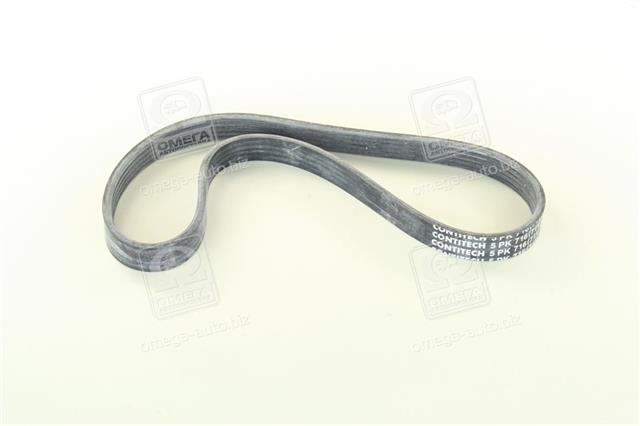 5PK716ELAST CONTITECH