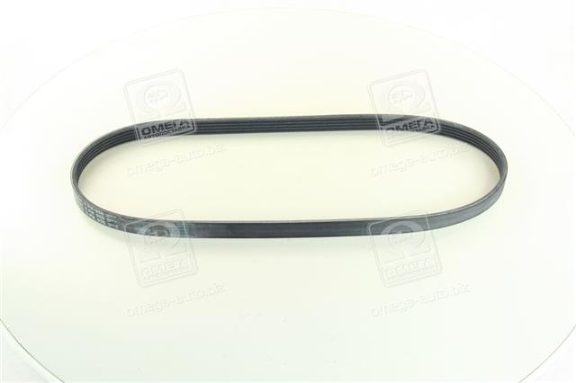5PK955 CONTITECH