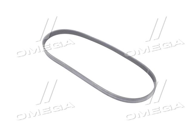 6PK1015 CONTITECH