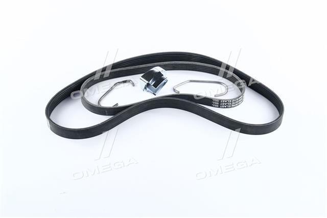 6PK1019ELASTT1 CONTITECH