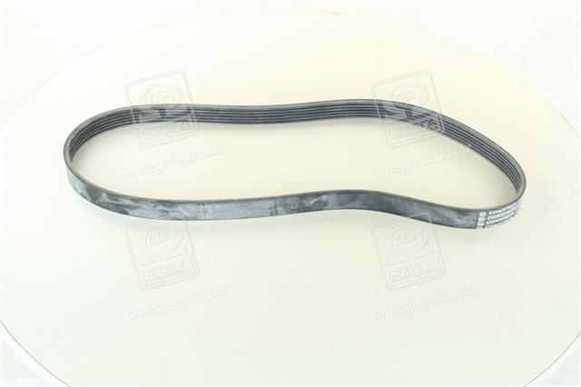 6PK1033ELAST CONTITECH