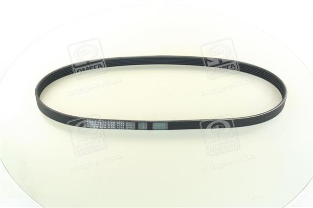 6PK1033 CONTITECH