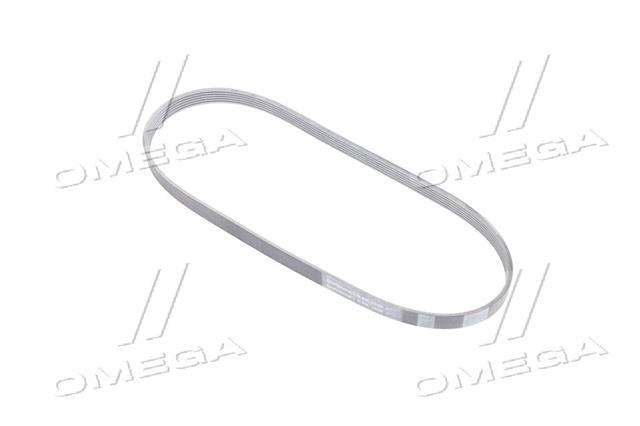 6PK1038 CONTITECH
