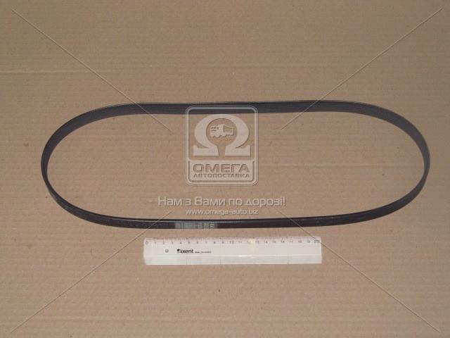 6PK1084 CONTITECH