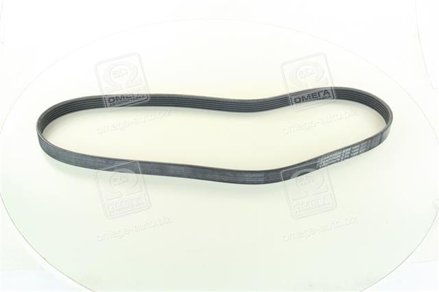 6PK1095 CONTITECH