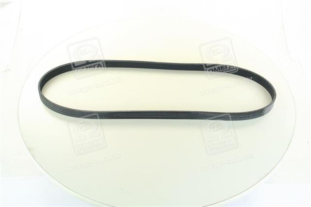 6PK1165 CONTITECH