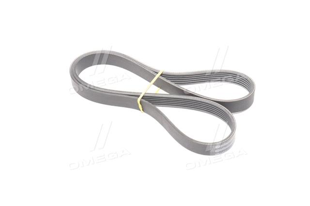 6PK1195 CONTITECH