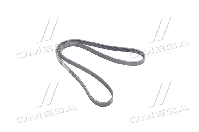 6PK1560 CONTITECH