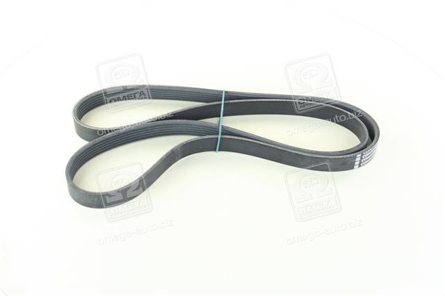6PK1564 CONTITECH