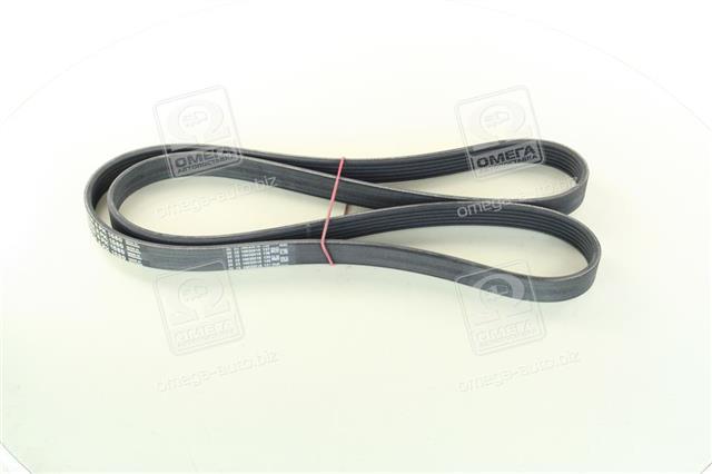 6PK1580 CONTITECH