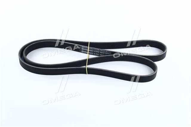 6PK1613 CONTITECH