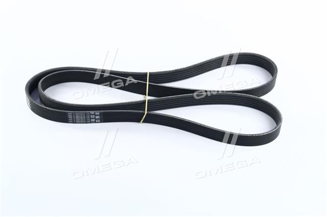 6PK1642 CONTITECH