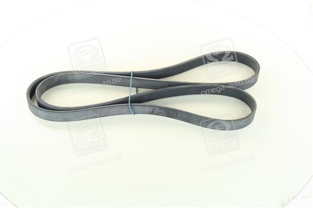 6PK1693 CONTITECH