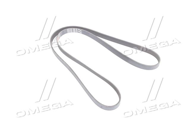 6PK1753 GATES
