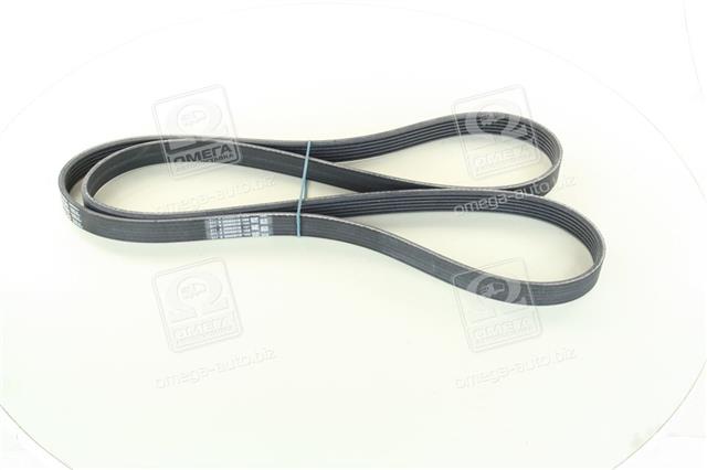 6PK1795 CONTITECH
