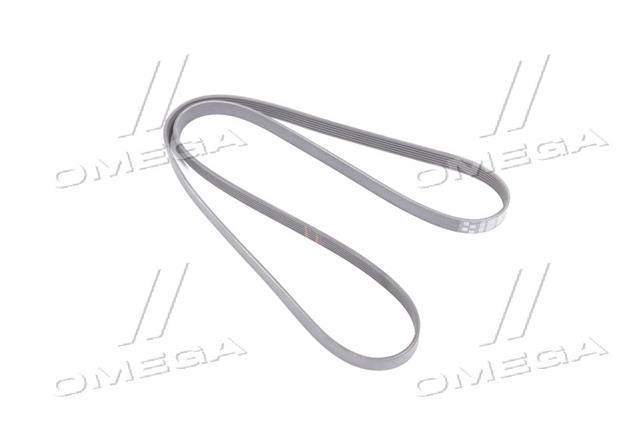 6PK1795 GATES