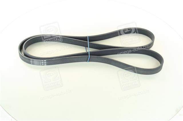 6PK1805 CONTITECH
