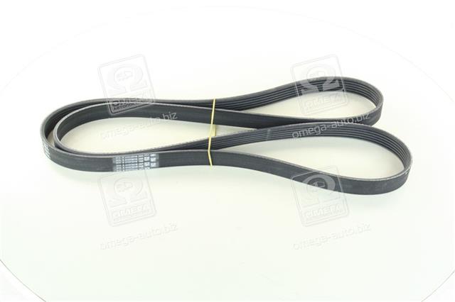 6PK1815 CONTITECH