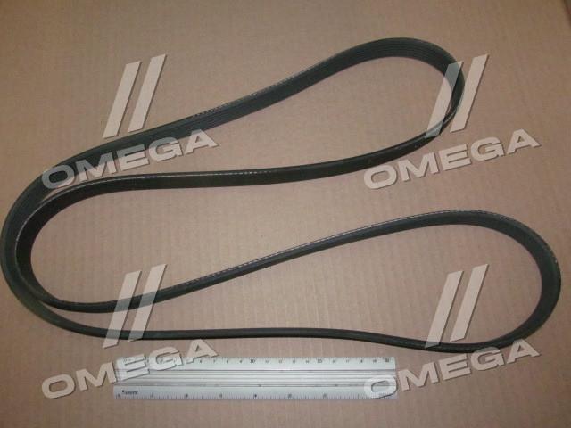 6PK1845 CONTITECH