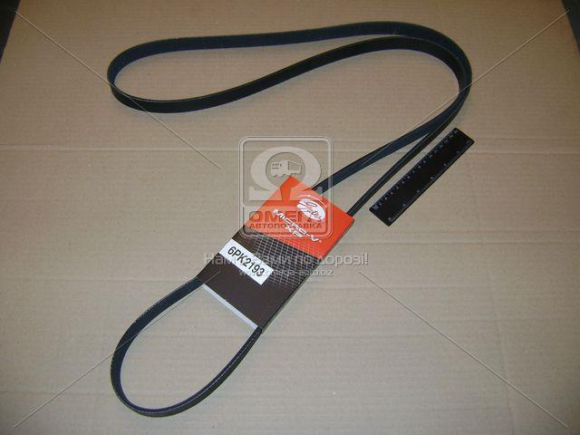 6PK2193 GATES