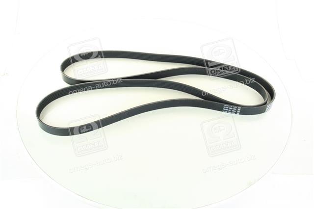 6PK2205 CONTITECH