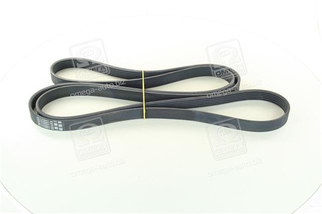 6PK2490 CONTITECH