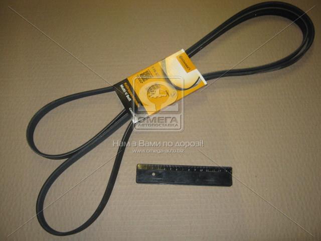 6PK2528 CONTITECH