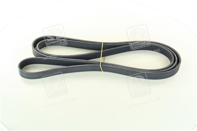 6PK2550 CONTITECH
