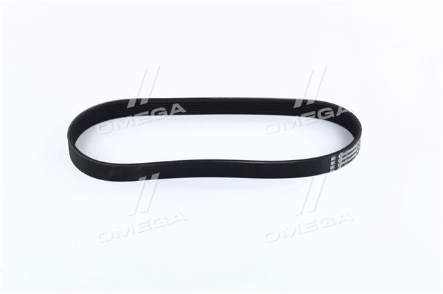 6PK691ELAST CONTITECH
