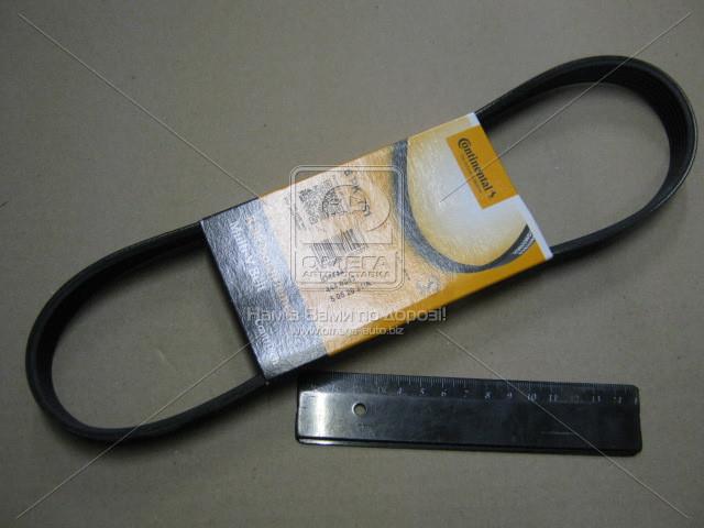 6PK751 CONTITECH