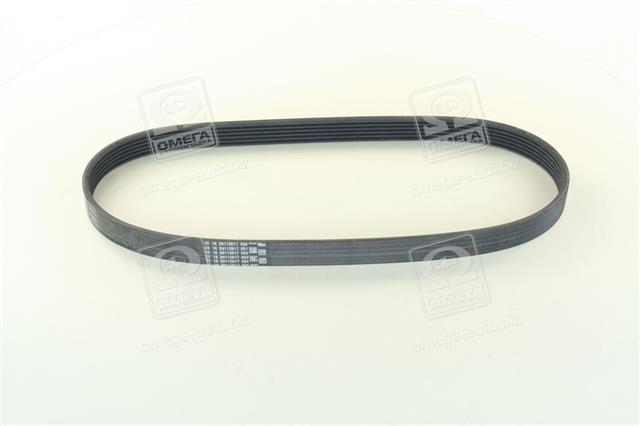 6PK842ELAST CONTITECH