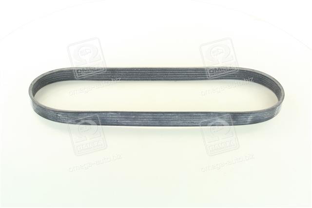 6PK873ELAST CONTITECH
