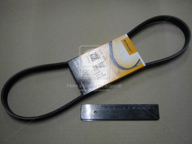 6PK955 CONTITECH