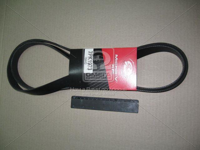 7PK1973 GATES